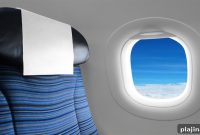 Inside the World’s Most Sanitary Airplanes: How Airlines Keep You Germ-Free