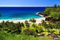 Wellness Retreats with Matthew Kenney: Rejuvenate and Reset