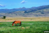 Summer Style Guide for Men: What to Wear in Montana