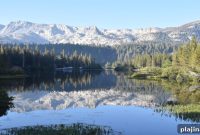 4 Charming Rustic Lodges to Visit for a Cozy Getaway