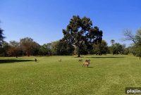 Elephant Hills Golf Club in Zimbabwe — Tee Times, Course Guide