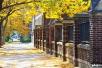 Top U.S. Fall Destinations for Stunning Autumn Colors