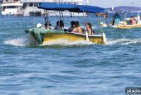 Volunteer and Give Back While on a Cruise: Meaningful Ways to Help