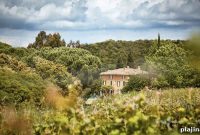 Château de Chausse Wines: A Guide to Varieties and Tasting Notes
