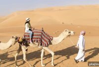 Abu Dhabi Desert Dreams: Ultimate Guide to Dunes & Luxury