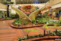 Top Airports Perfect for Memorable Layovers