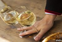 Naples Wine Tours: Sunlit Tastings and Coastal Sips