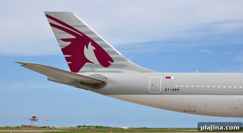 featured 82600
