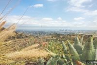 Hike to the Hollywood Sign: Trails, Tips, and Scenic Views