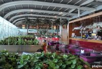 Mumbai Named World’s Busiest Single-Runway Airport with Record Traffic