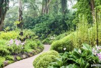 Singapore’s Green Shift: How the City-State Is Leading Sustainable Innovation