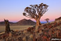 7 Destinations to Vacation Like Royalty