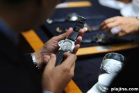 Swiss and German Watchmakers Tour: Behind-the-Scenes Visits
