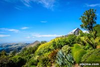 Top Restaurants to Try in Dunedin, NZ