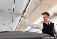 Airline Reveals Standing Seat Concept to Boost Passenger Capacity