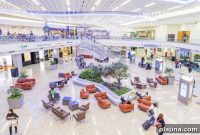 Record Number of Firearms Seized at World’s Busiest Airport