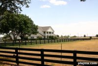 Growing Up in Dallas: A Guide to Life, Schools, and Neighborhoods
