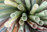 Airlines and Hotels Expand Ban on Plastic Straws Across Travel Industry