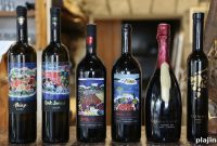 Top Wine Travel Destinations: Tours, Tasting Routes & Tips