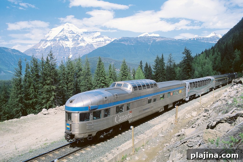 featured 87311