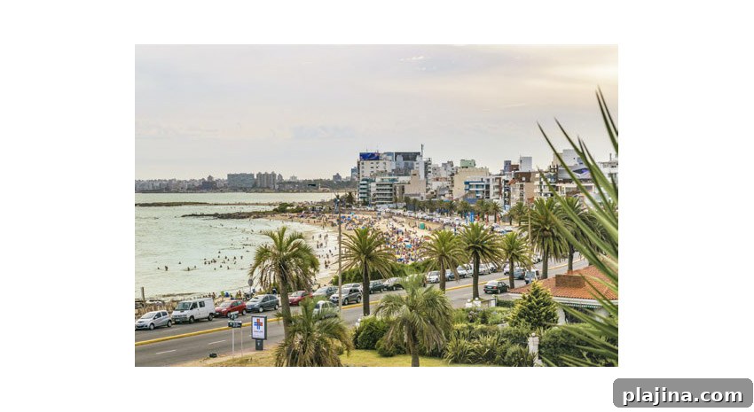 featured 87572