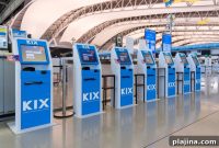 Why Gate Agents Are Vanishing as Self-Boarding Expands