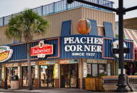 South Carolina Peach Picking: Top Orchards & Seasonal Tips