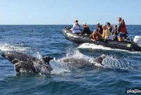 LGBTQ+ Boating Guide: Safe and Welcoming Days on the Water