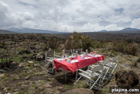 Thanksgiving Getaways Worth Packing For