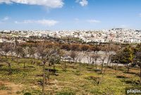 Experience Nature: Activities and Tours at the Wild Jordan Center