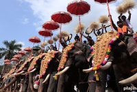 Experience Thrissur Pooram: Kerala’s Spectacular Elephant Festival