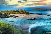 Snorkel and Dive: Discover Marine Life off San Cristóbal Island