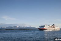 Cruise Ships Convert Fish Waste into Clean Energy Systems