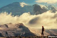 Discover Mt. Rainier National Park: Top Trails, Views & Tips