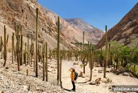 Tucan Travel Debuts Epic South America Adventure Tour