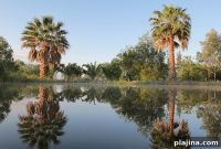 Stay at Algarve’s Most Enchanting Hotels and Villas