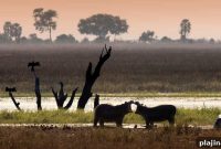 Top UNESCO World Heritage Sites to Visit Around the World