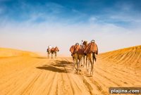 Abu Dhabi Sets New Tourism Record with 2018 Visitor Surge