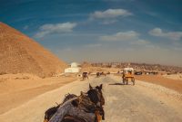 Viking Launches New Egypt River and Nile Cruise Experiences