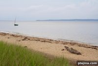 Glamping in the Hamptons: Luxury Outdoor Stays Near NYC