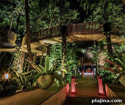Entrance to Nest restaurant