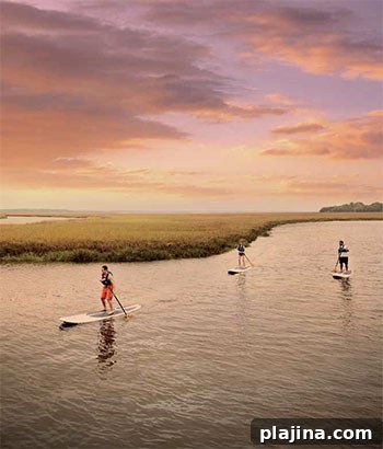 Omni Amelia Island Plantation paddle boarding