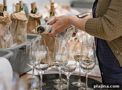 Wine Survey