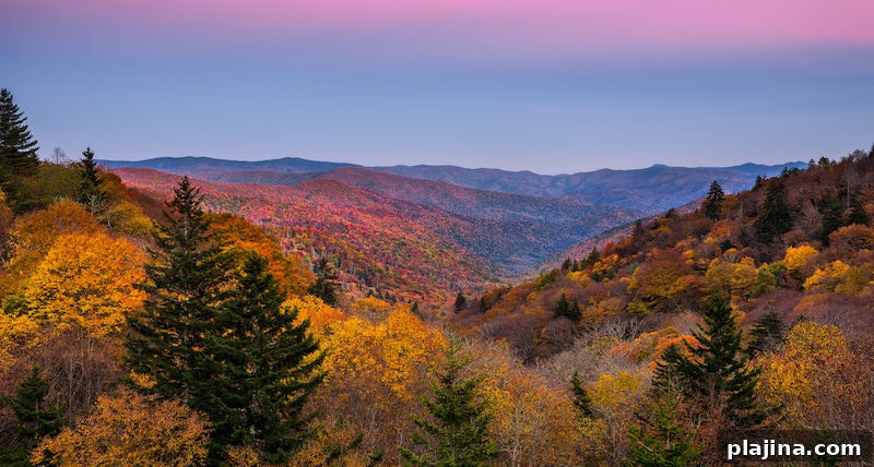 Fall colors, twilight, Smoky mountains