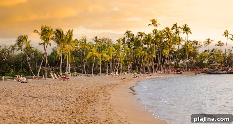 Hawai’i