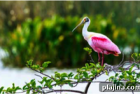 Discover Paradise: Top Destinations for Your Dream Getaway