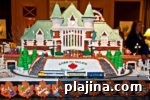 img 110274 10