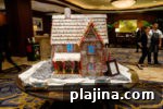 img 110274 13