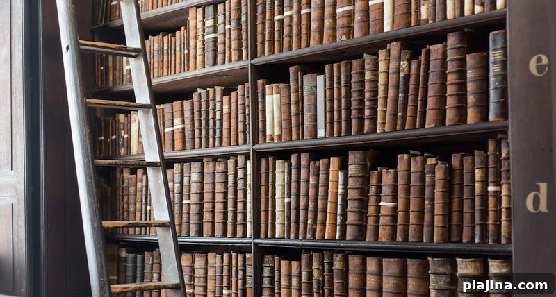 Dublin literary landmarks