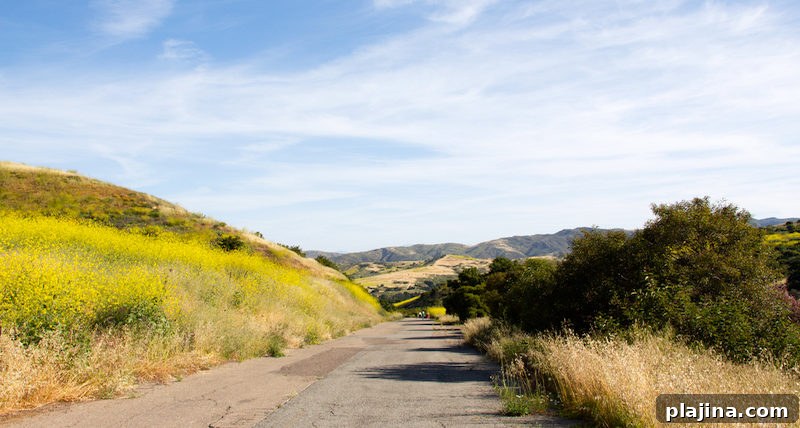 Irvine